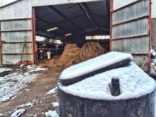 Fodder-Winter-Ireland