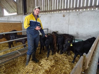 cattle-sheep-farmer-British