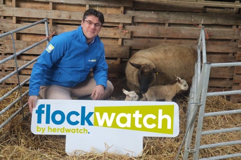 Fabien Peyaud - Flockwatch Launch low-res