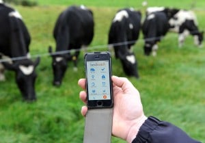 Herdwatch Makes UK debut