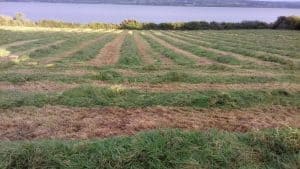 Silage Season in West Clare Silage Season in West Clare