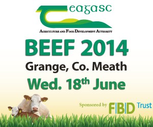 Teagasc-Beef-MPU