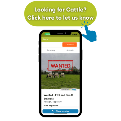 Looking for Cattle Click here to let us know