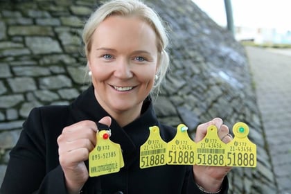 Ursula-Kelly-Cormac-Tagging