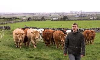 west-Ireland-beef-farmer-herdwatch