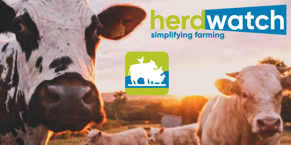 Herdwatch Rebrand Feature Graphic 1000x500